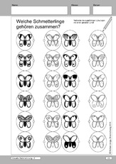 2-05 Visuelle Wahrnehmung - Schmetterlinge.pdf